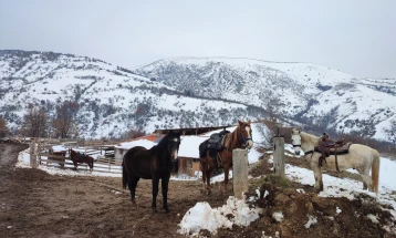 Туристите сакаат да јаваат коњи и да молзат кози, дегустирање вино, археолошки и верски туризам дел од македонската туристичка винска тура