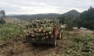 Кривична пријава против битолчанец за кражба на дрва