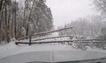 Најмалку 10 мртви во снежна бура на југоистокот на САД