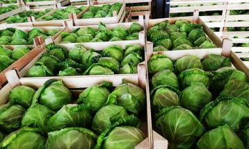 No banned pesticides found in cabbage refused entry to Croatia