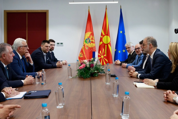 Deputy PM Stoilkovikj meets Montenegro Speaker Mandić