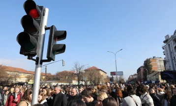 Кривичен ја објави пресудата за претходното кривично дело на осомничениот кој ја прегази Фросина