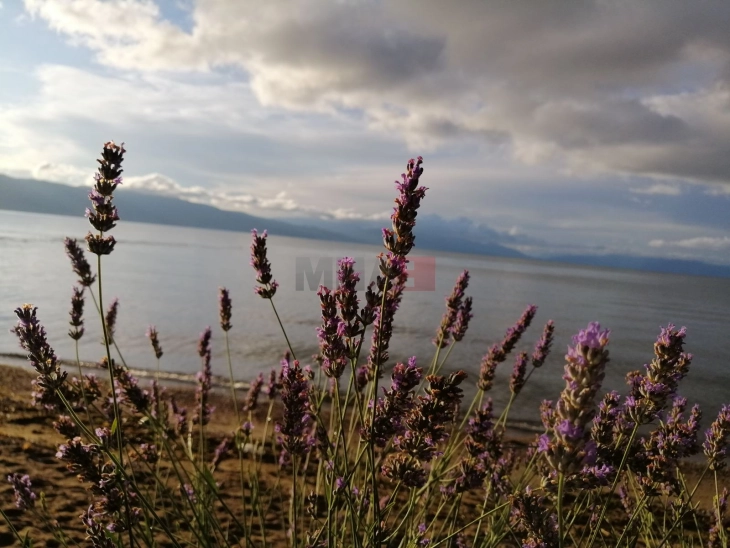 Mot me  vranësira të ndryshueshme dhe me erë, ulje të temperaturave të mëngjesit deri nga fundi i javës