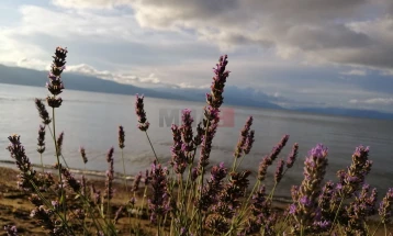 Mot me  vranësira të ndryshueshme dhe me erë, ulje të temperaturave të mëngjesit deri nga fundi i javës