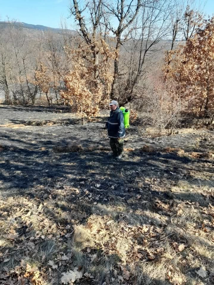 Изгаснат пожар во селото Моштица