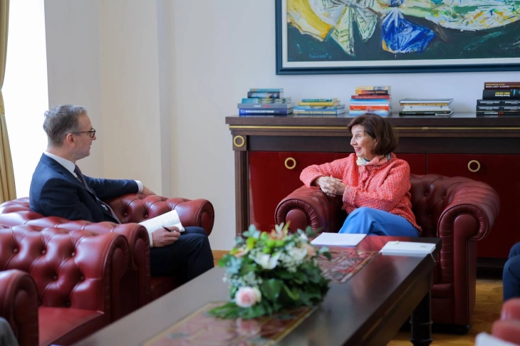 President Siljanovska-Davkova meets OSCE Ambassador Wahl 