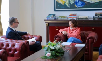 President Siljanovska-Davkova meets OSCE Ambassador Wahl 