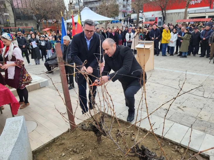 Во Неготино одбележан празникот на лозарите и винарите „Свети Трифун“