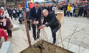 Во Неготино одбележан празникот на лозарите и винарите „Свети Трифун“