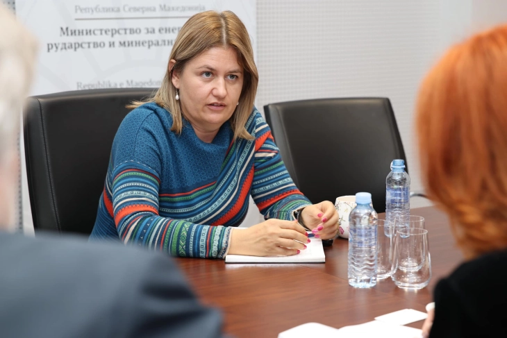 Energy Minister Bozhinovska meets IFC representatives 