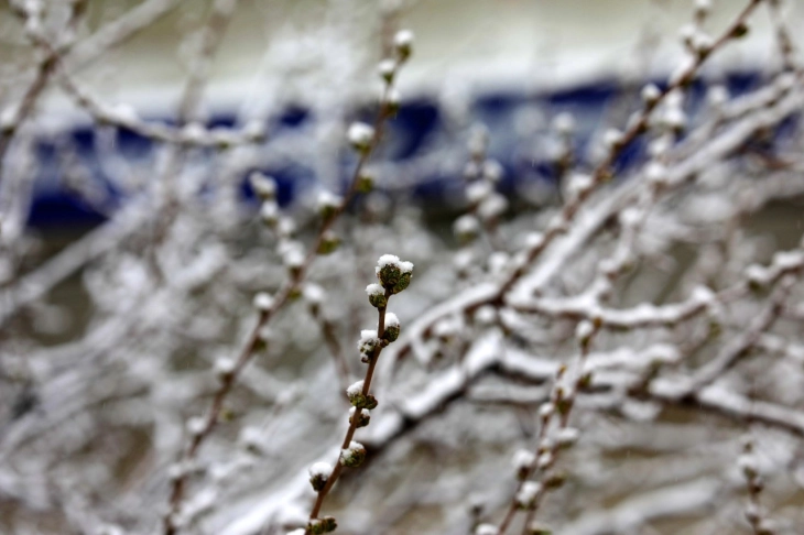 Weather: Overcast with occasional rain and snow