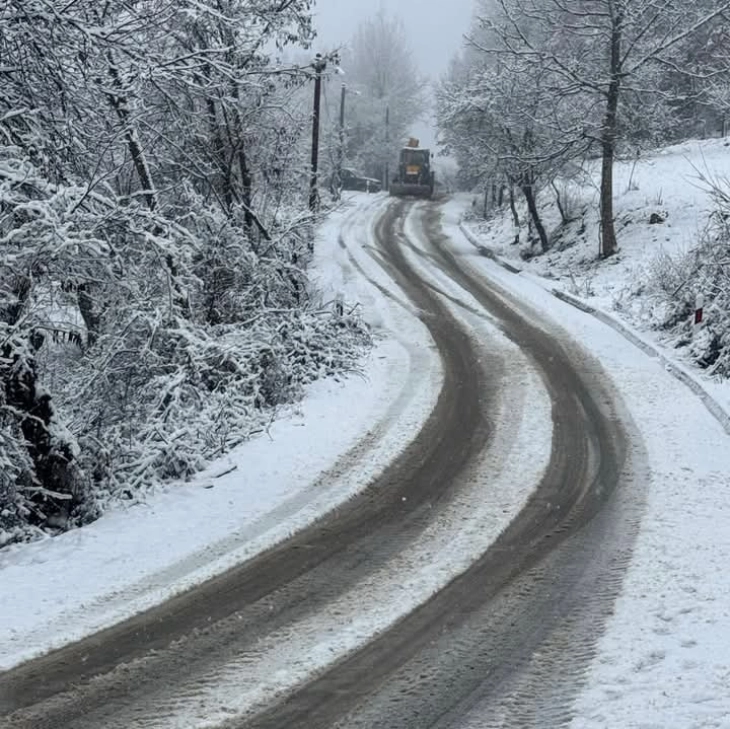 Во Македонска Каменица се чистат патиштата од снег