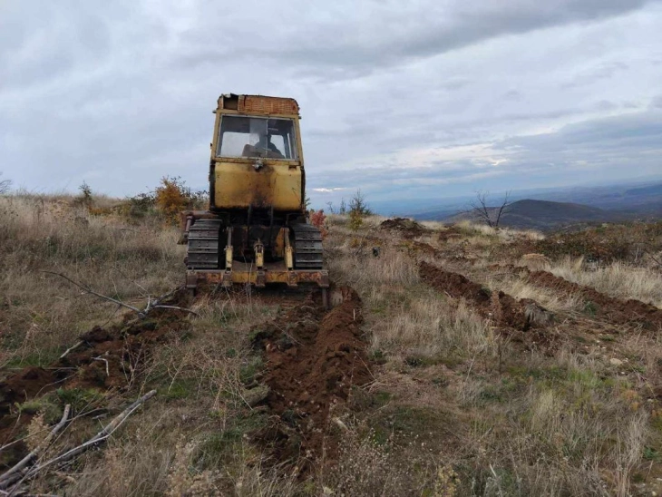 Кумановската подружница на „Национални шуми“, годинава ќе пошумува во липковско и на Козјак