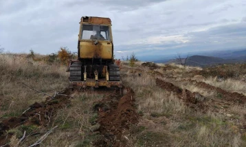 Кумановската подружница на „Национални шуми“, годинава ќе пошумува во липковско и на Козјак