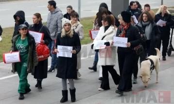 „Анима Мунди“ се оградува од вербални напади или инциденти по вчерашниот протест за случајот со Феликс