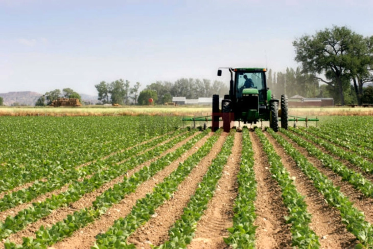 Reshjet të favorshme për bujqësinë, fillon mbjellja e kulturave të hershme hortikulturore