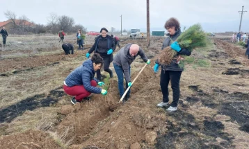 Во пелагониското село Далбеговци засадени 2500 садници бел бор