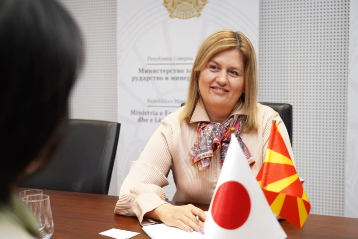 Bozhinovska and Japanese Ambassador Kawahara discuss strengthening energy cooperation