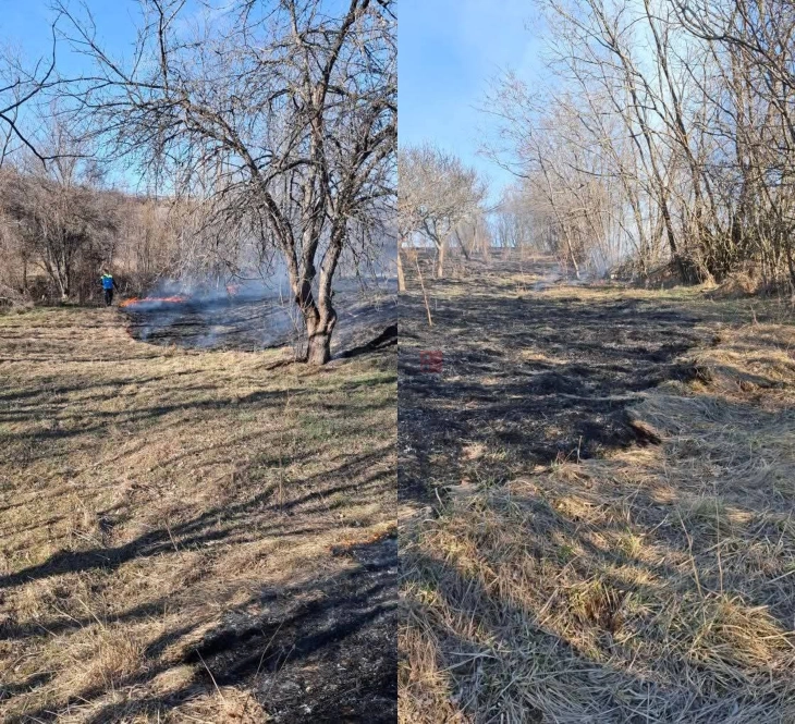 Спречен пожар во пехчевски „Суви Дол“