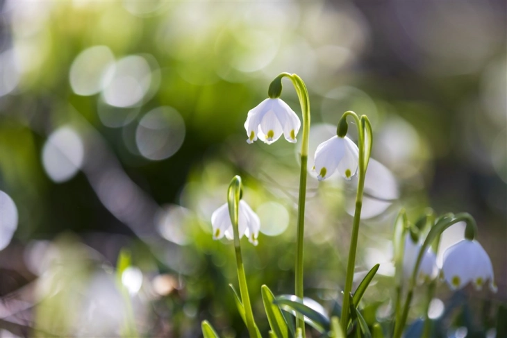 Sunny weather, temps up to 22C