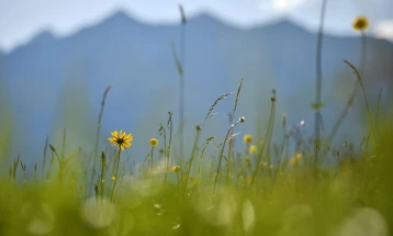 Në Berovë temperaturë më e ulët e mëngjesit, më e lartë në Vinicë