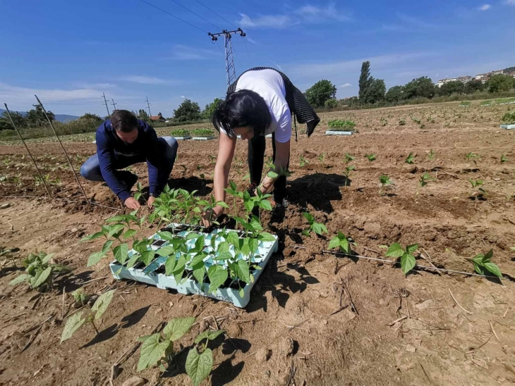 U realizua pagesa e masave nga Programi për mbështetje financiare të zhvillimit rural për vitet 2023 dhe 2024 si dhe nga Programi për pagesa direkte