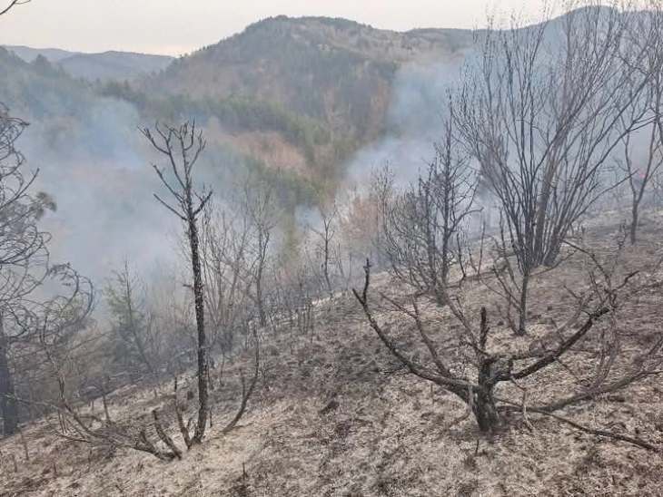 Изгаснат пожарот кај месноста Каша во беровско Ратево