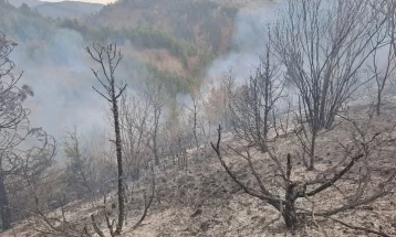 Изгаснат пожарот кај месноста Каша во беровско Ратево