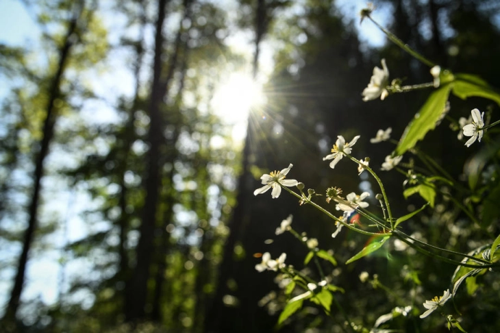 Sunny weather, temps up to 27C