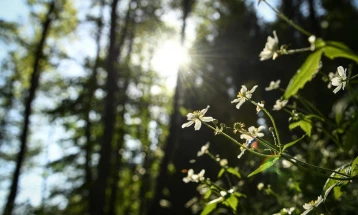 Sunny weather, temps up to 27C