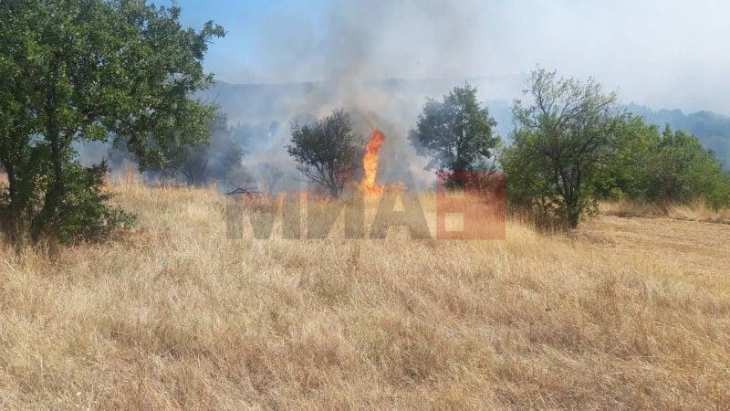 Лишени од слобода две лица поради предизвикување пожари во Прилеп и Ресен