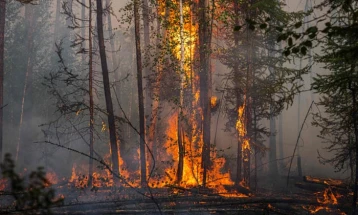 Four dead in South Korean wildfires, state of disaster declared