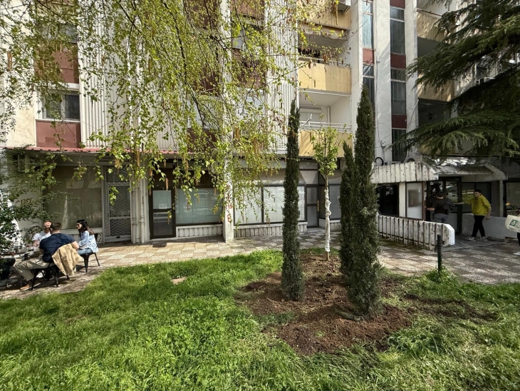 Герасимовски: Засадени нови дрвја во Капиштец, инвестираме во здравјето и во животната средина