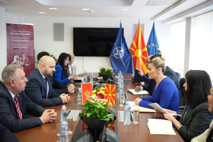 Трајков - Божовиќ: Продлабочување на билатералната соработка преку заеднички иницијативи за реализација на проекти