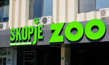 ЗОО Скопје: Ламата беше лекувана, се беше направено од медицински аспект