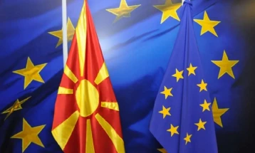 На Предлог-извештајот на Вајц за земјава поднесени 313 амандмани 