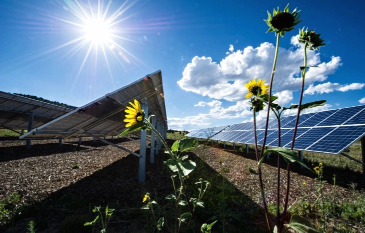 Америка воведува тарифи до 3.521 отсто на соларни панели од Југоисточна Азија