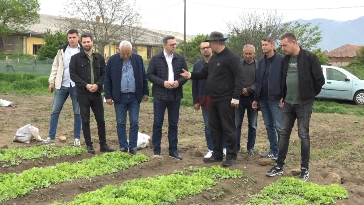 Трипуновски: Тутунарите добија 40 милиони евра субвенции, се исплаќаат и за другите земјоделски гранки