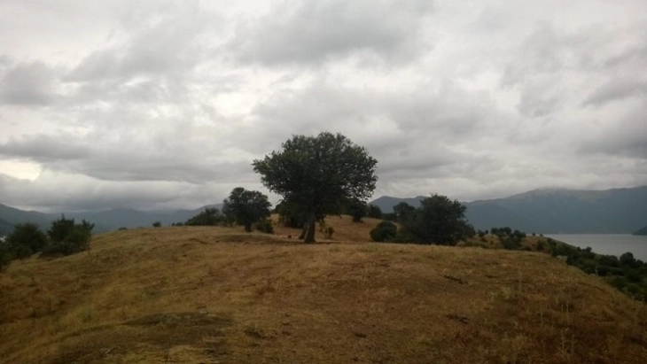 Weather: Overcast with occasional rainfalls