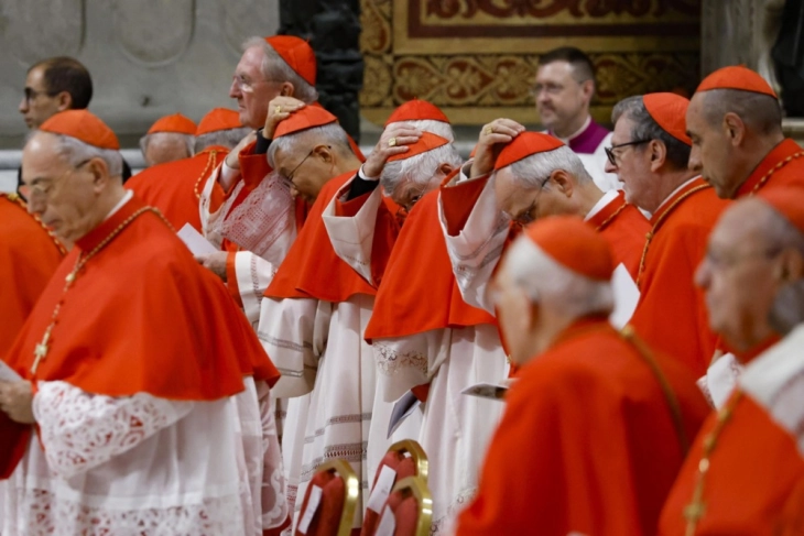 Кардиналите во Ватикан разговараа за голем број прашања, вклучувајќи ја и сексуалната злоупотреба во црквата