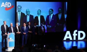 АфД на суд ќе ја оспорува класификацијата на германското разузнавање за партијата како „екстремистичка организација“