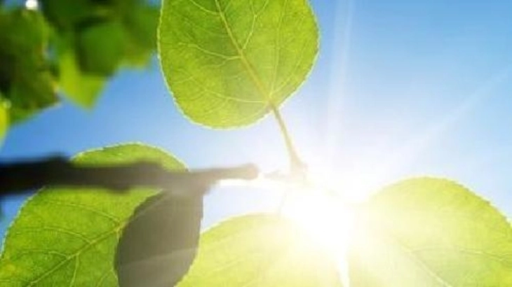 Weather: Sunny and very warm; high 30°C