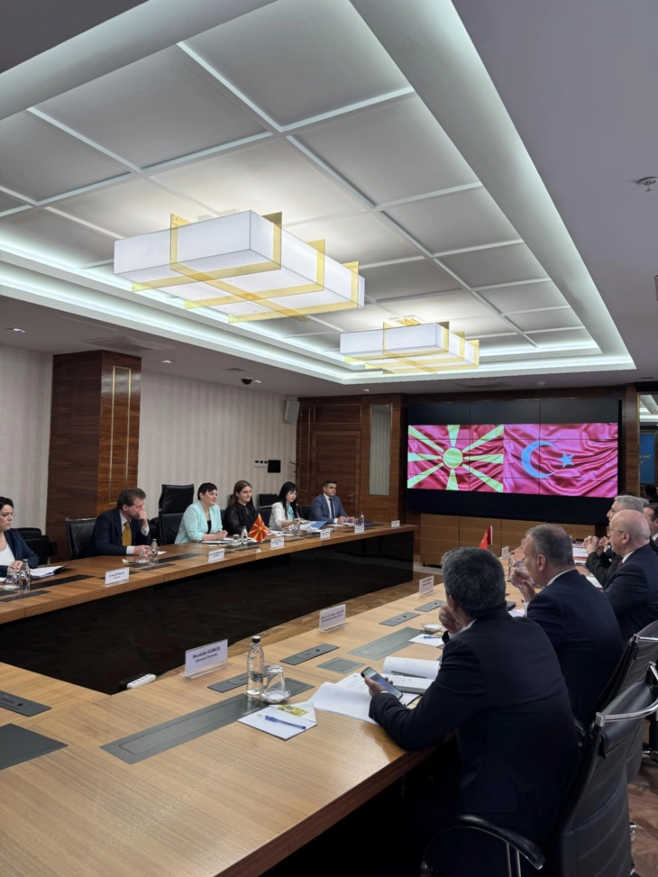 Средба Димитриеска Кочоска - Болат, договорена интензивирана соработка во областа на царината