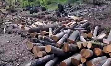 Акциска контрола на Регионалниот центар за гранични работи Запад, пронајдени над 200 метри кубни бесправно исечено огревно дрво