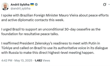 Сибиха со повеќе објави на социјалните мрежи бара да се убеди Путин да дојде во Истанбул