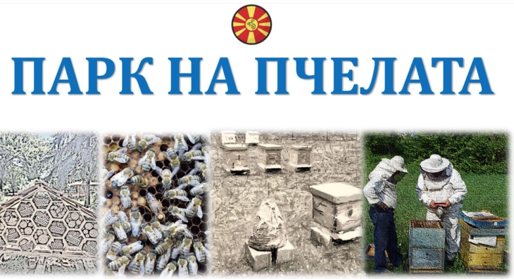 Утре се отвора првиот Парк на пчелата - училница за студентите, простор за едукација и информирање на граѓаните