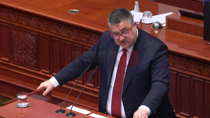 Минчев до Костадиновска-Стојчевска: Како министер за култура можевте да вработувате лектори по македонски јазик ако вистински се грижевте за македонскиот јазик