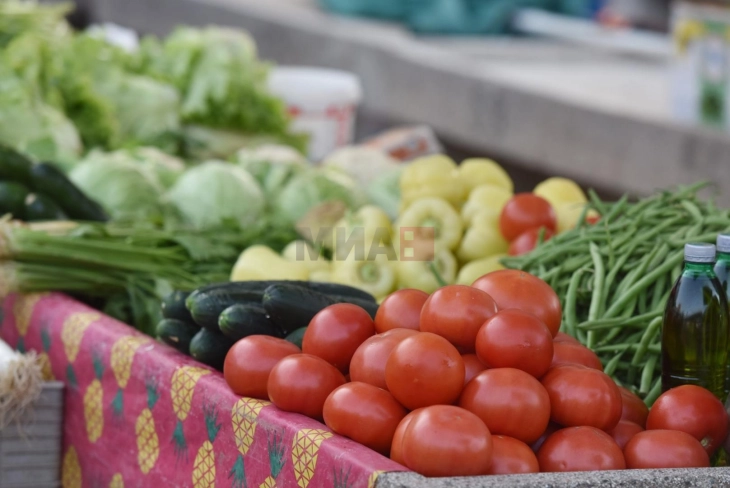 Зголемен извоз на земјоделски производи за пет отсто, Владата најавува натамошна поддршка
