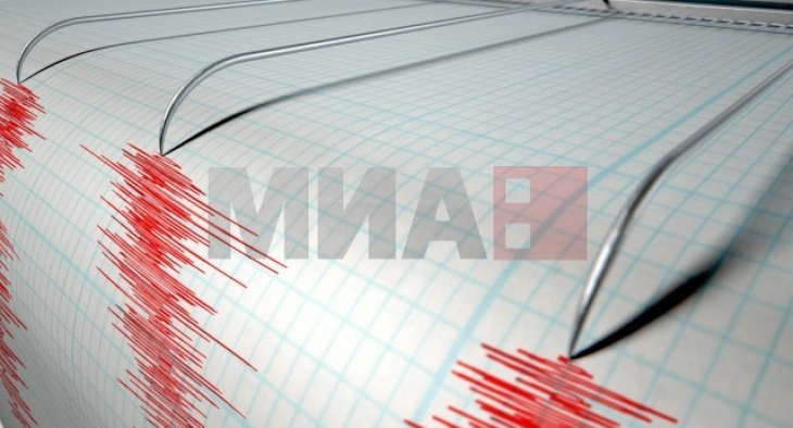 Tërmet me magnitudë prej 6,3 ballë goditi ishullin Sumatra të Indonezisë