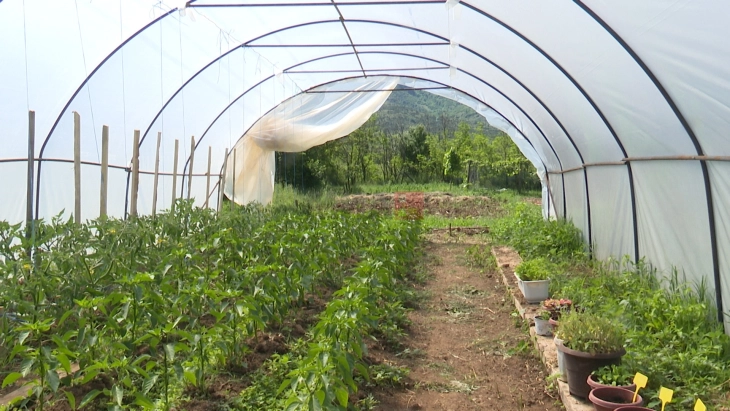 Во прилепскиот регион зголемен интерес за земјодеско земјиште под концесија, да се зголеми градинарското производство за пониски цени на храната